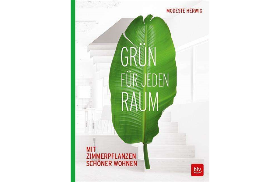 Buch des Monats Januar