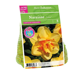 Blumenzwiebel Narzisse 'Tahiti'