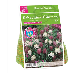 Blumenzwiebel Schachbrettblumen